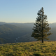 Illustration for article titled To Ellensburg then onto Packwood, the hardway